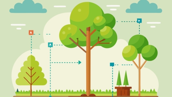 Схема расстояний для посадок